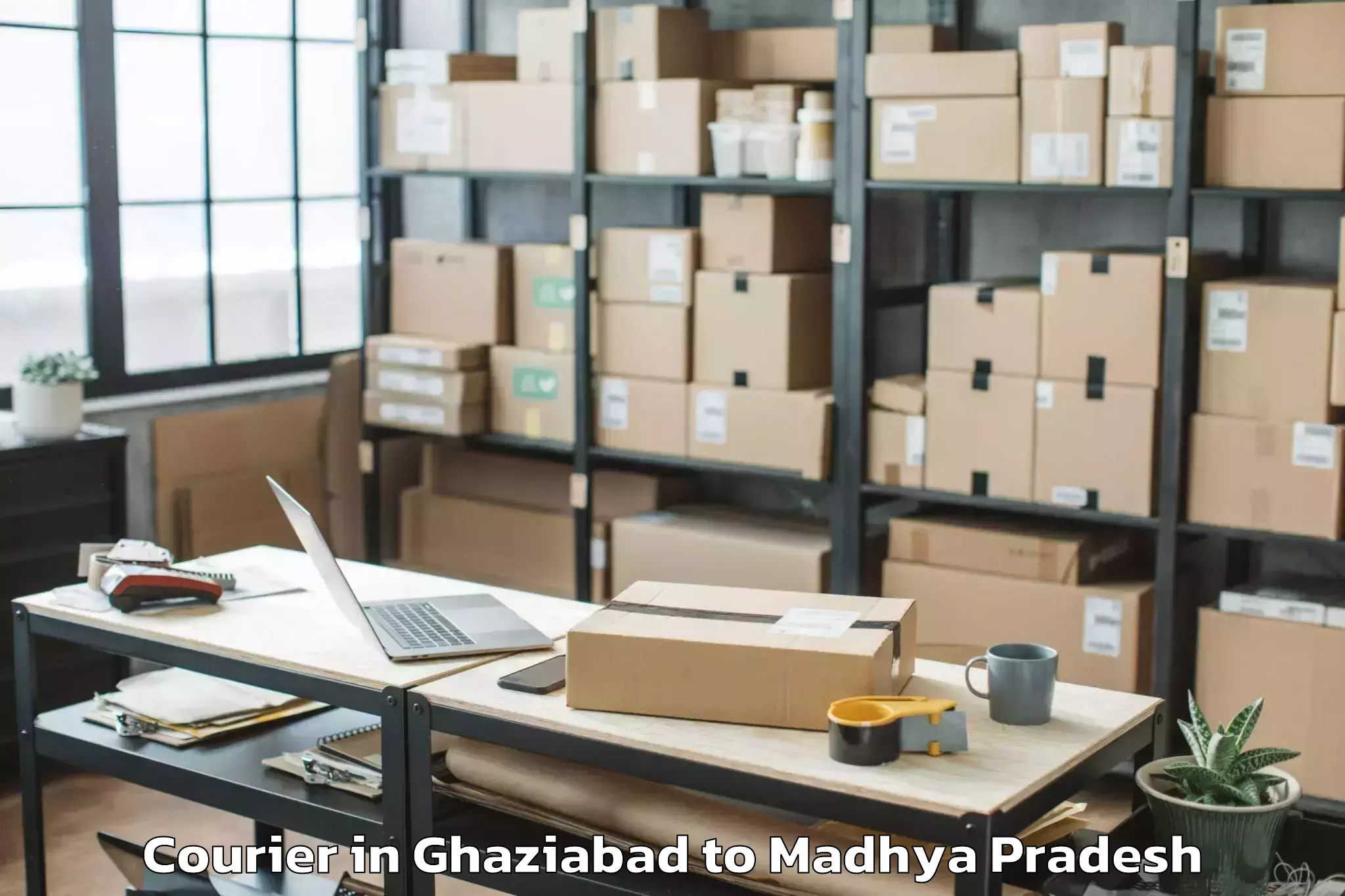 Hassle-Free Ghaziabad to Raghogarh Vijaypur Courier